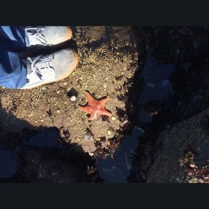 Meet your Posher, Jared